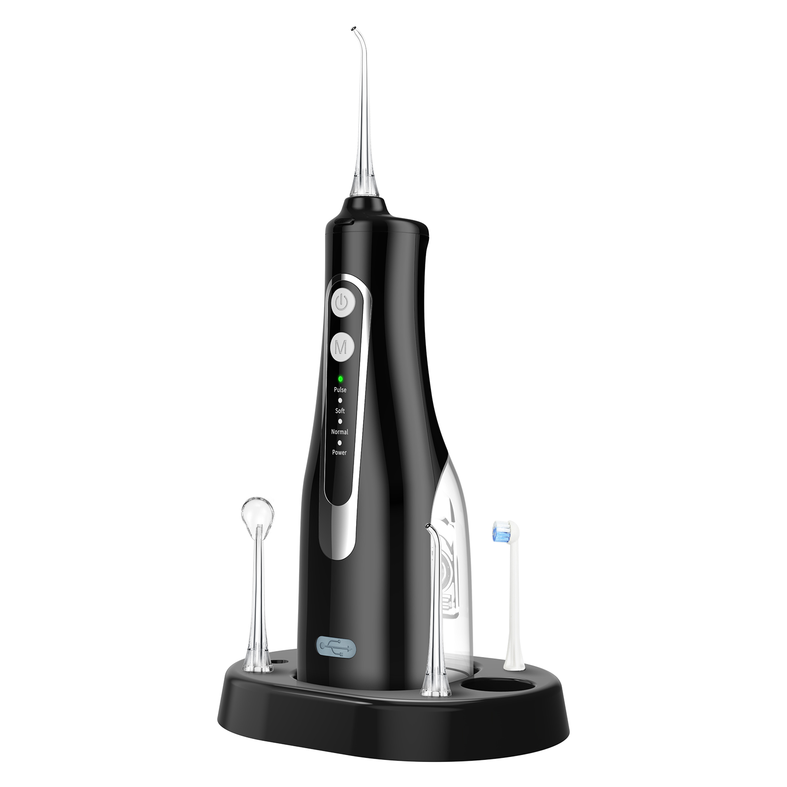 4 Modes Water Flosser Portable